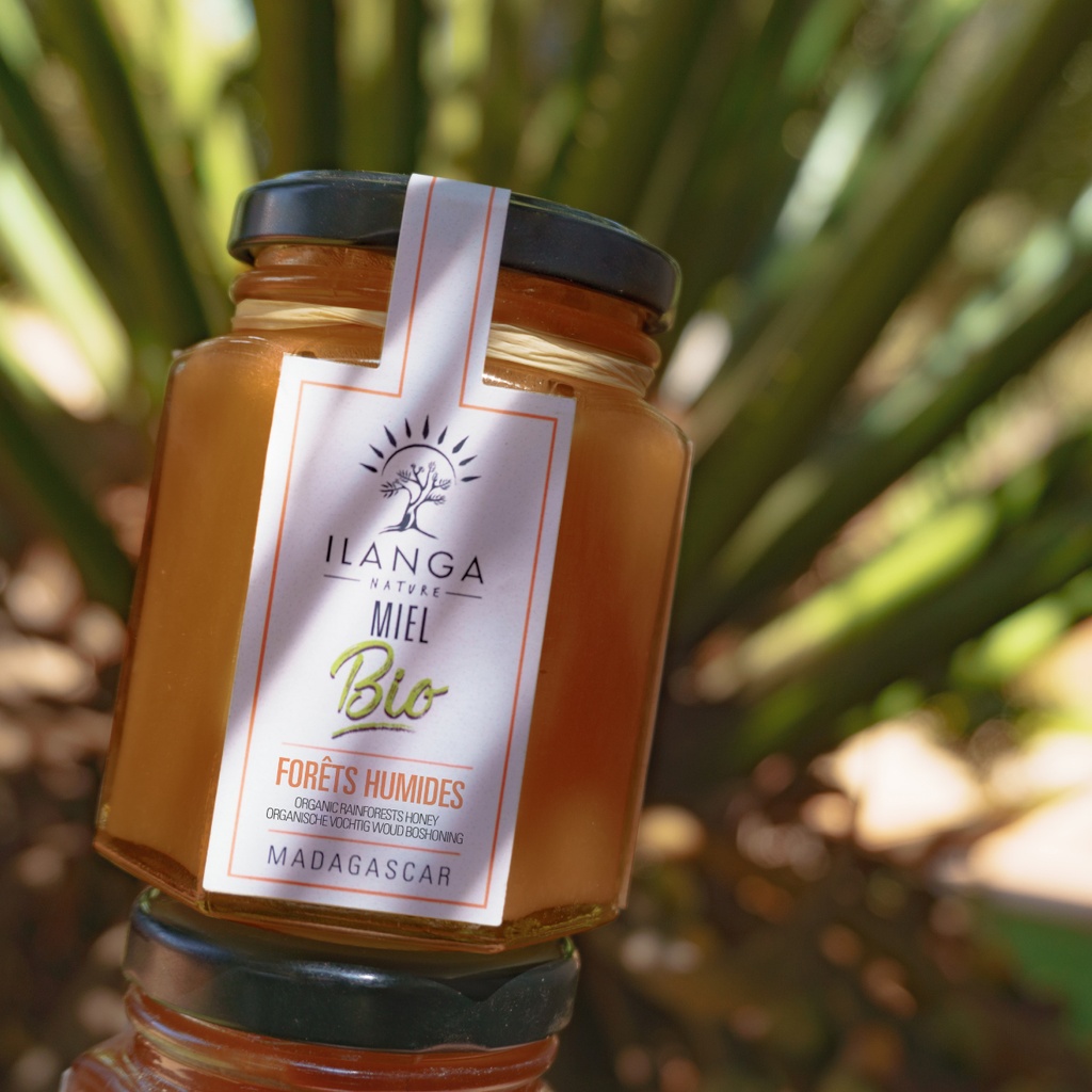 Miel de Forêts Humides - BIO