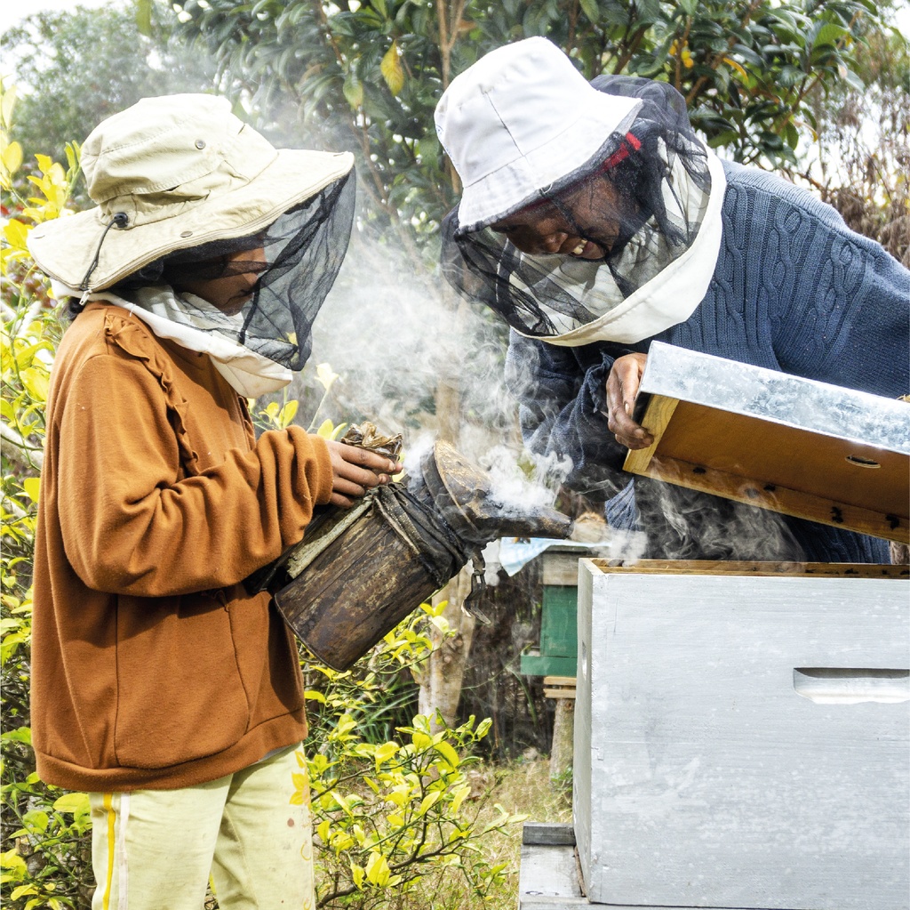 extraction du miel de forêts humides 250g