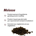 les avantages du sucre de canne molasses 500g