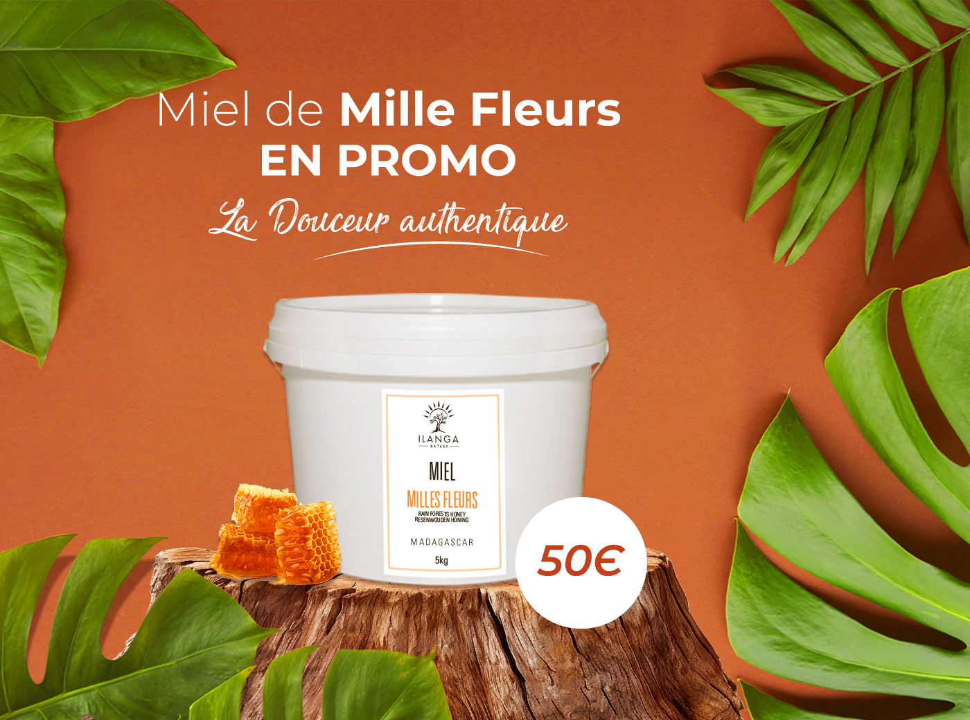 Pourquoi Choisir Le Miel Naturel De Madagascar