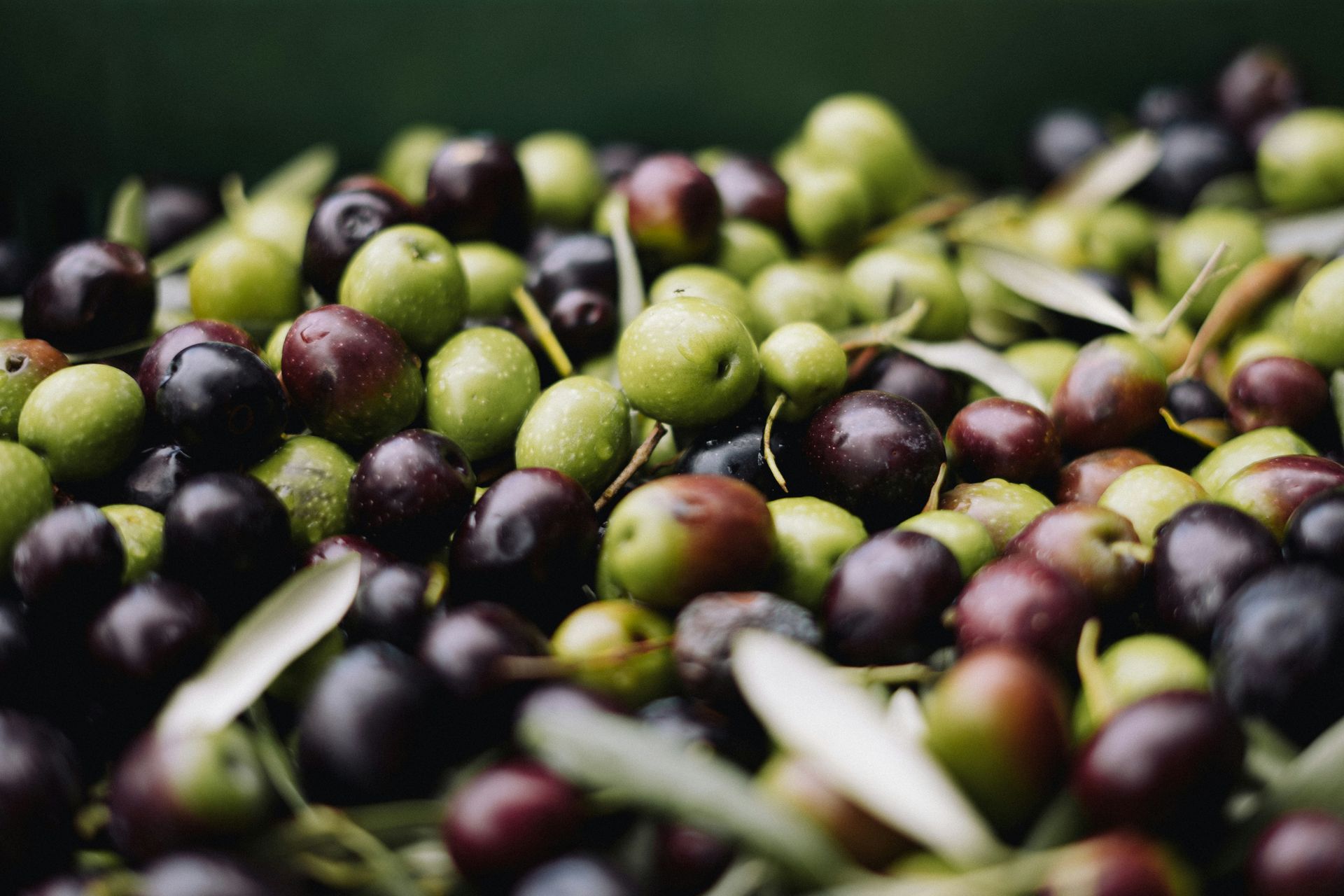 Olive