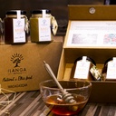 La Collection de 5 Miels 250g - en situation