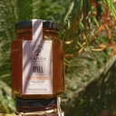 Miel de Forêts Primaires mise en situation