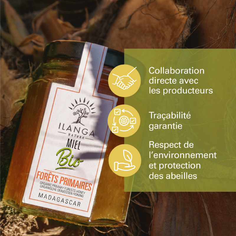 Miel de Forêts Primaires - BIO