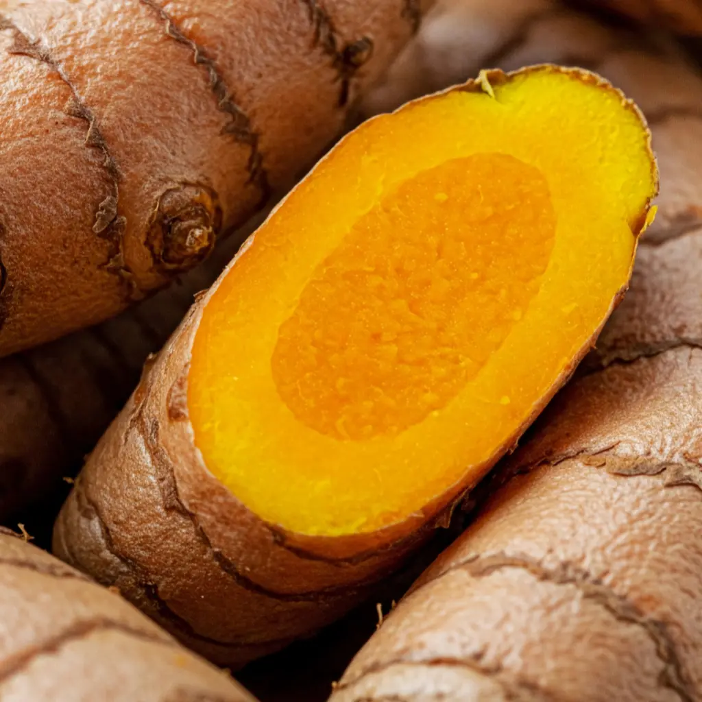Curcuma en Poudre 60g BIO - présentation