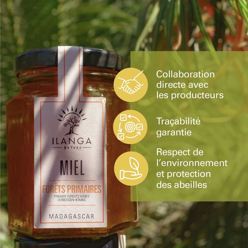 les valeurs du miel de forêts primaires 140g