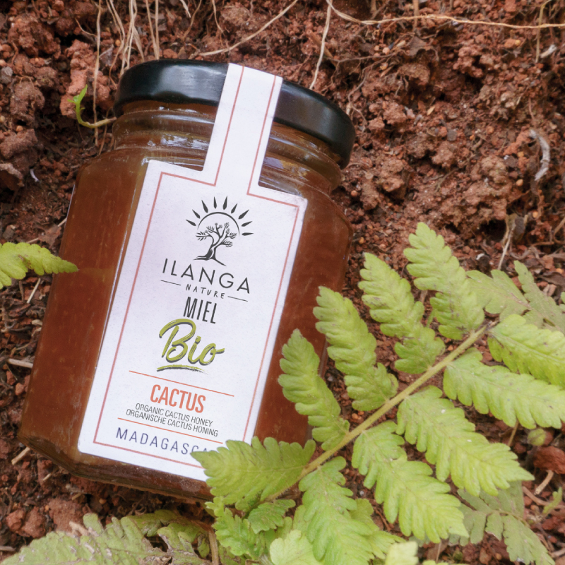 Miel de Cactus - BIO 