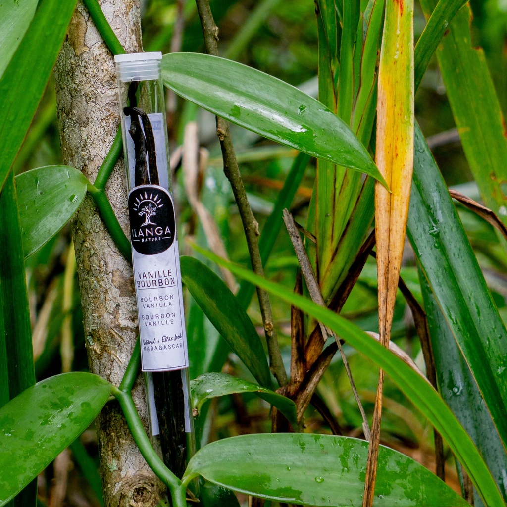 Vanille Bourbon (en tube) 