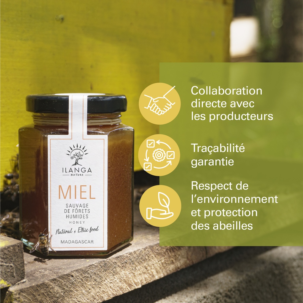 les valeurs du miel de forêts humides 250g