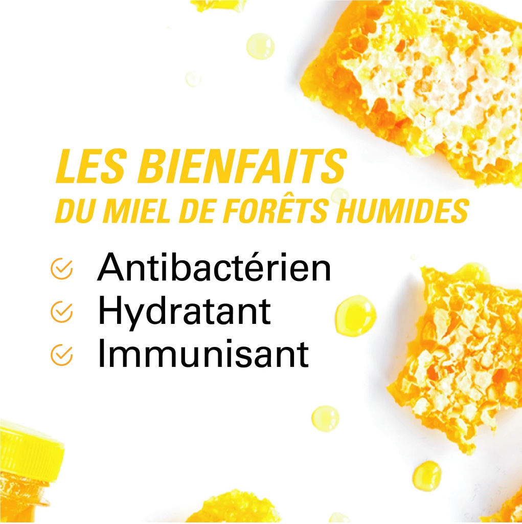 les bienfaits du miel de forêts humides 250g