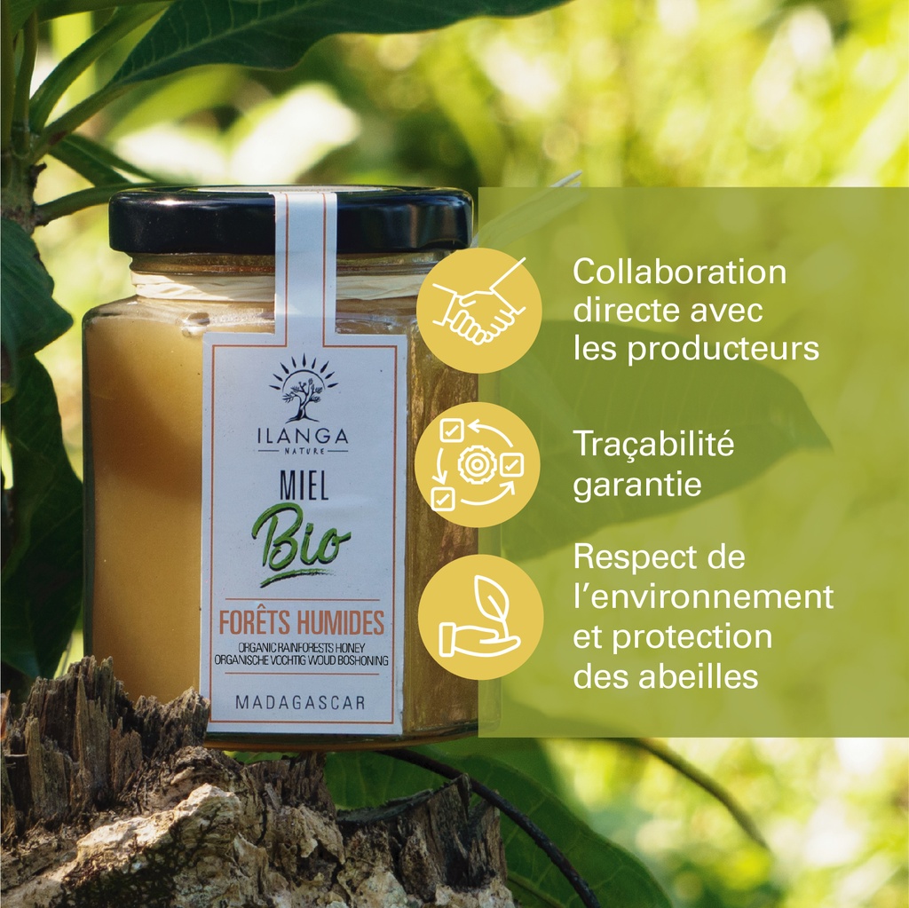 les valeurs du miel de forêts humides 250g BIO