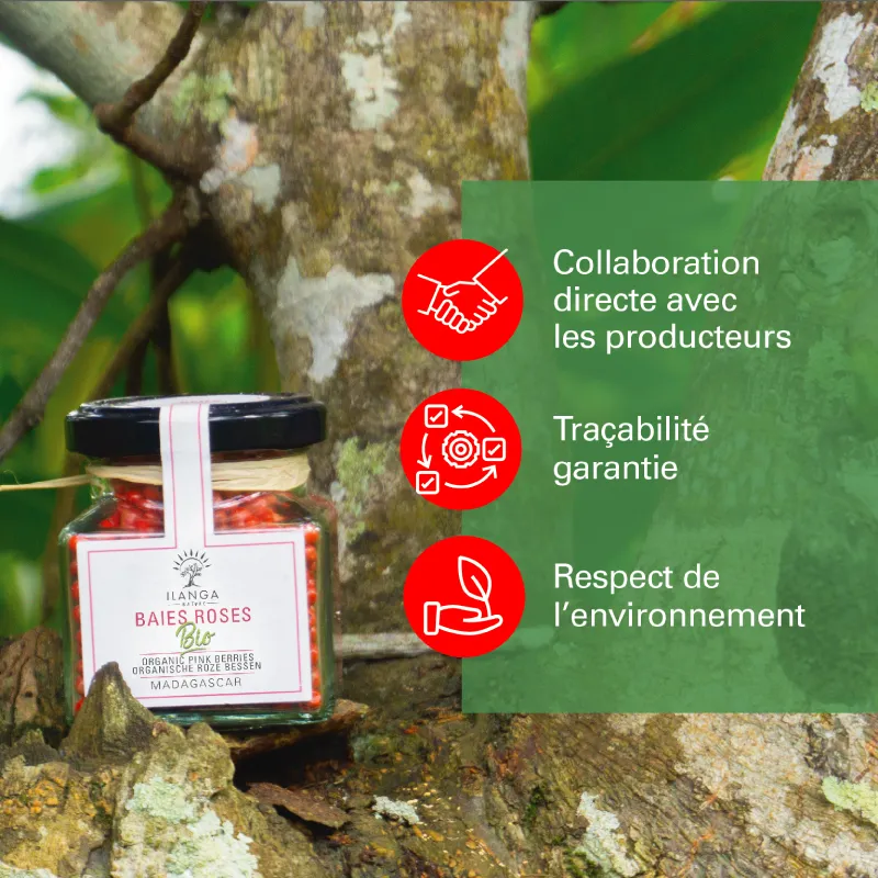 valeur-BR-01.webp