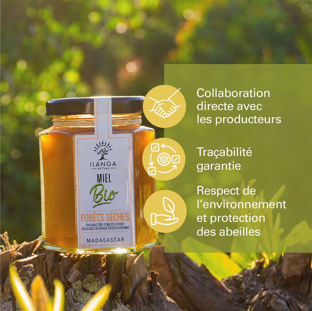 les valeurs du miel de forêts sèches 250g BIO