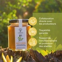Miel de Forêts Sèches 250g - BIO