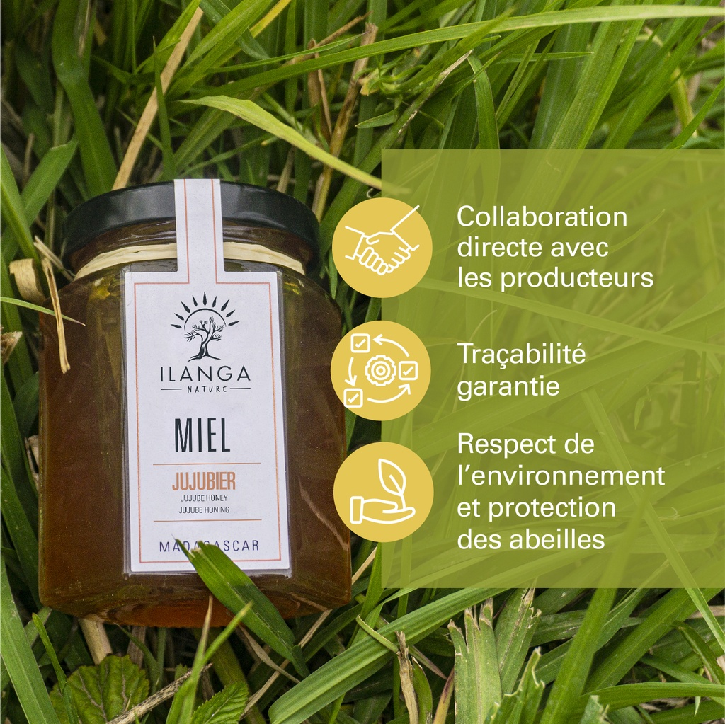 les valeurs du miel du jujubier 250g