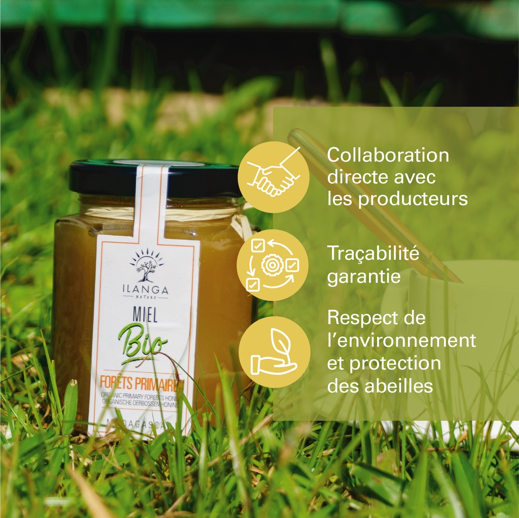 les valeurs du miel des forêts primaires 250g BIO