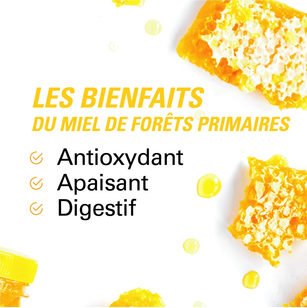 les bienfaits du miel de forêts primaires 250g BIO