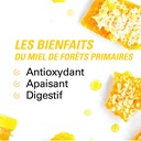 les bienfaits du miel de forêts primaires 250g BIO