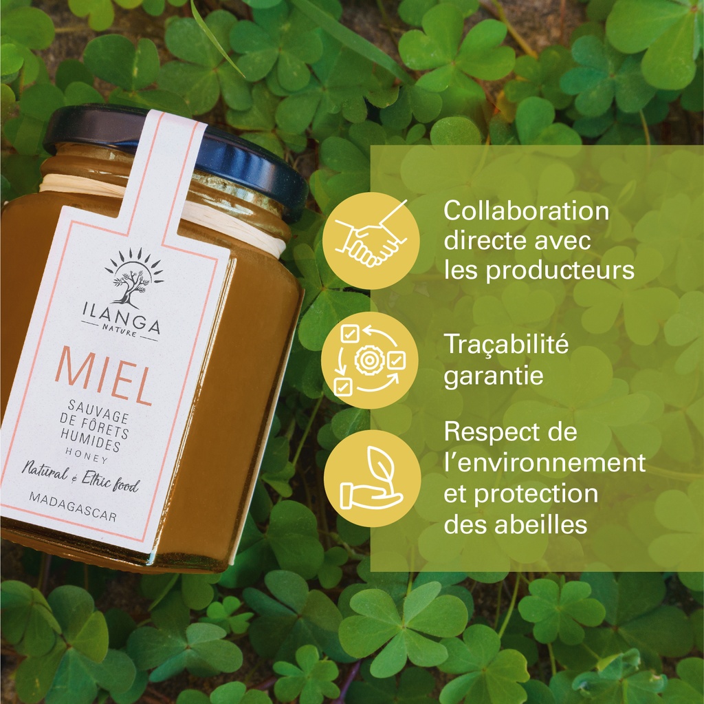 les valeurs du miel de forêts humides 140g