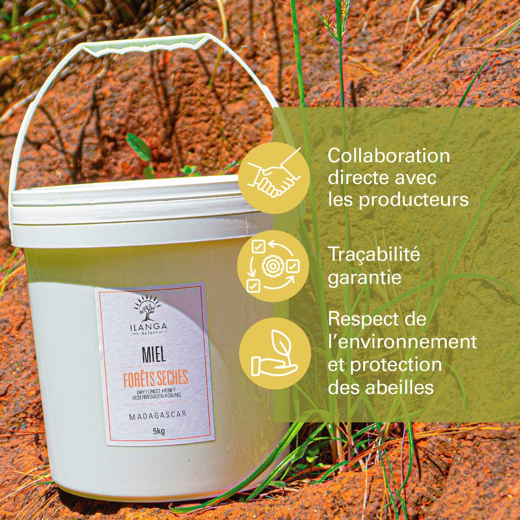 Les valeurs du miel de forêts sèche 5kg