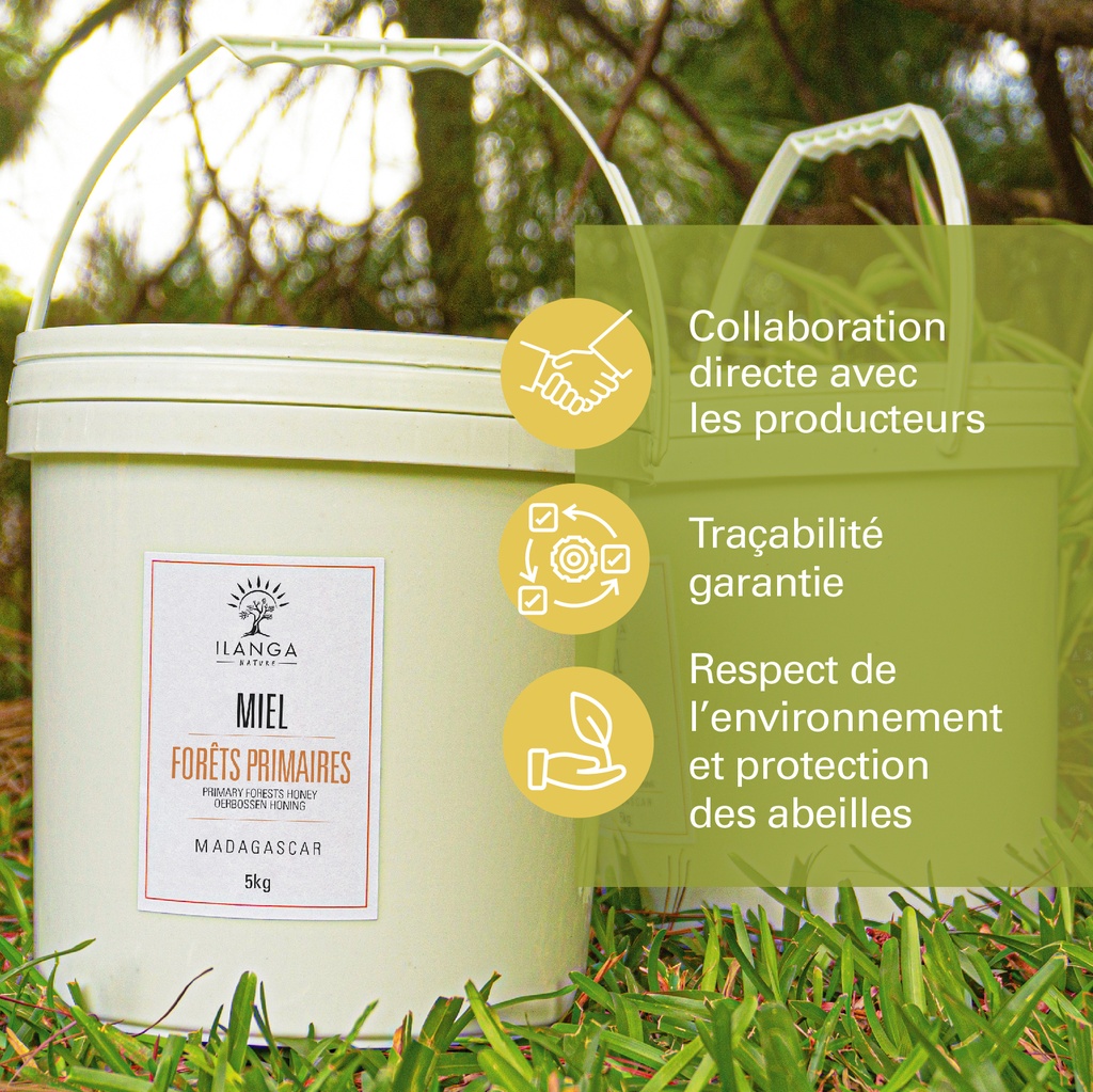 Les valeurs du miel de forêts primaires 5kg