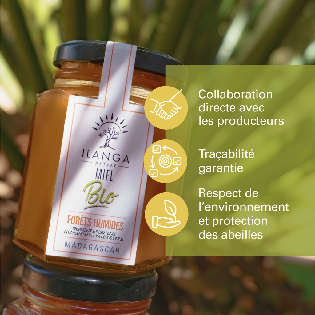 Miel de Forêts Primaires 140g - BIO