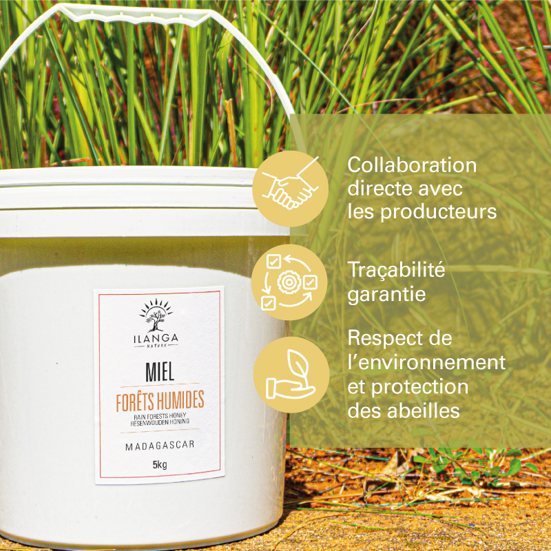 les valeurs du miel de forêts humides 5kg