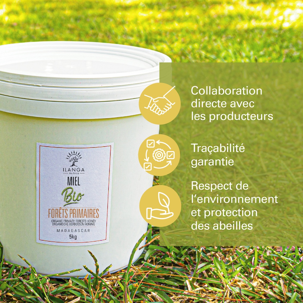 Les valeurs du miel de forêts primaires 5kg BIO