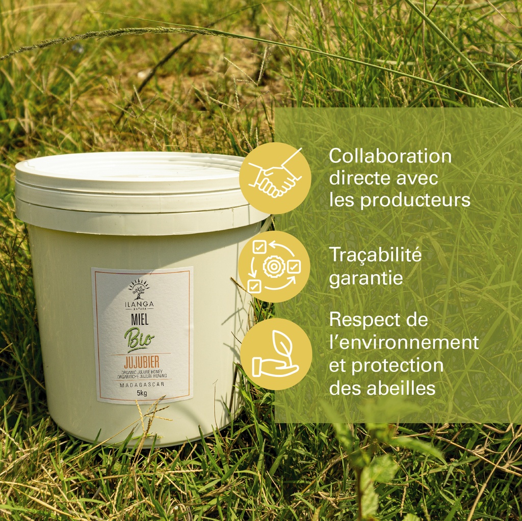 Miel de Jujubier 5kg - BIO