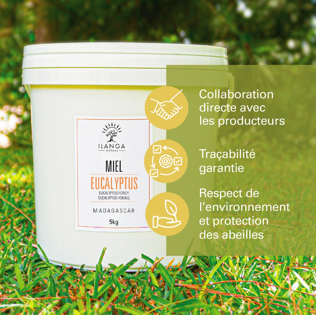 les valeurs du miel d'eucalyptus 5kg