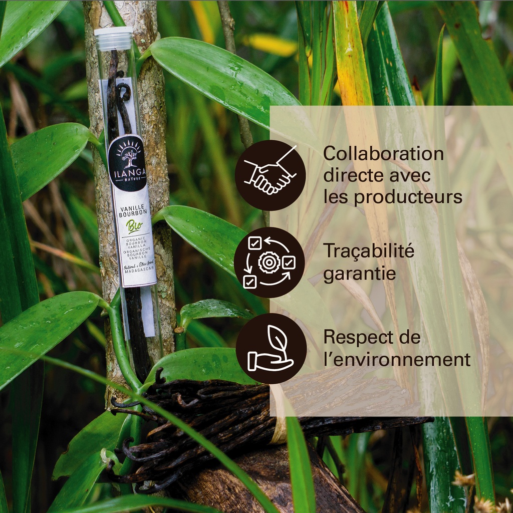 Vanille Bourbon en tube - BIO (3 gousses)