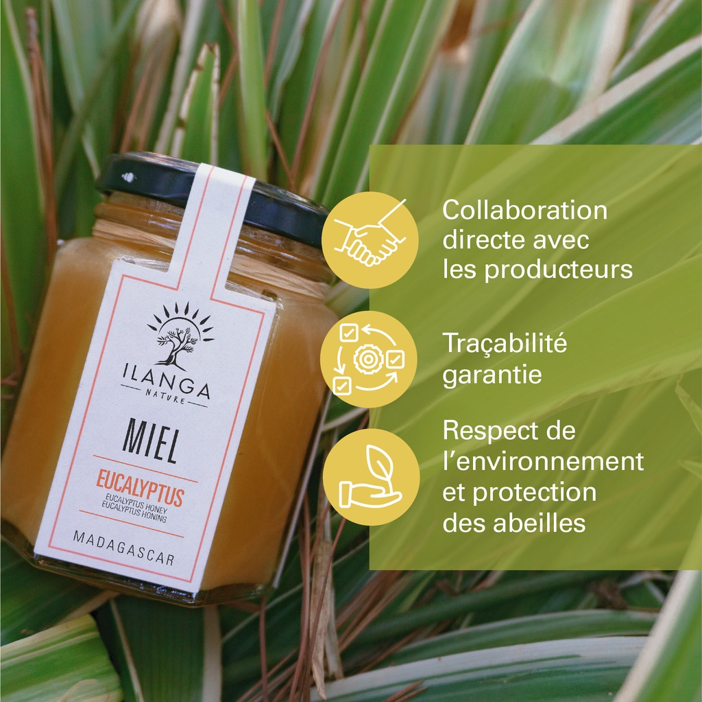 les valeurs du miel d'eucalyptus 140g