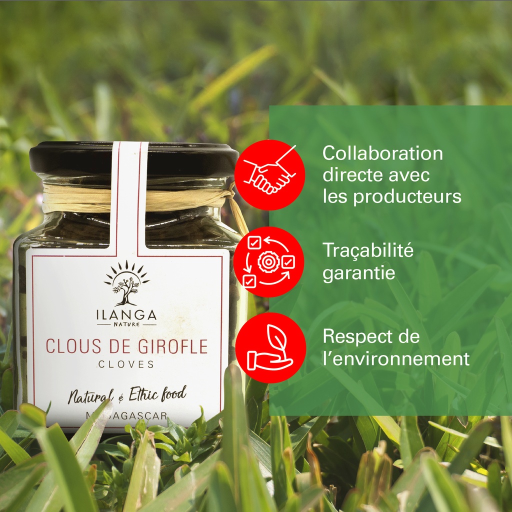 les valeurs du clous de girofle 105g