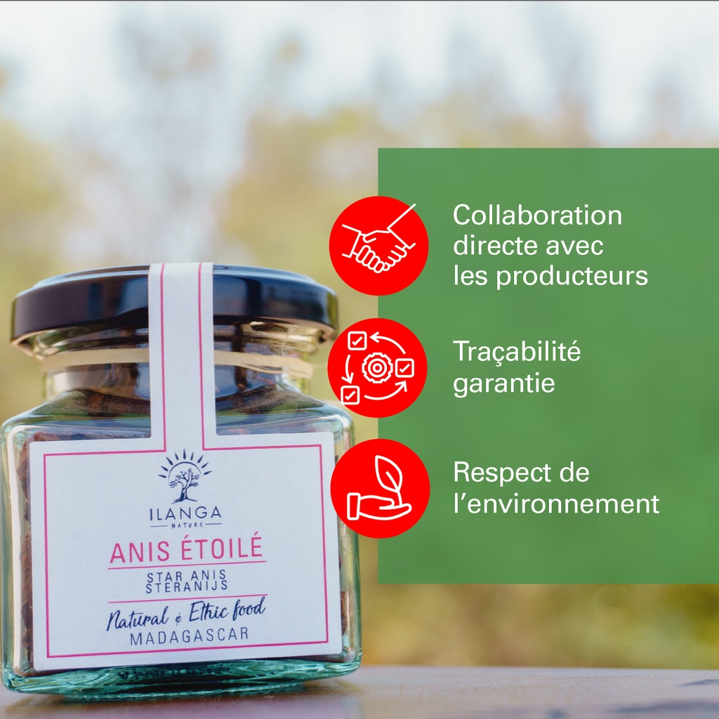 les valeurs de l'anis étoilé 35g