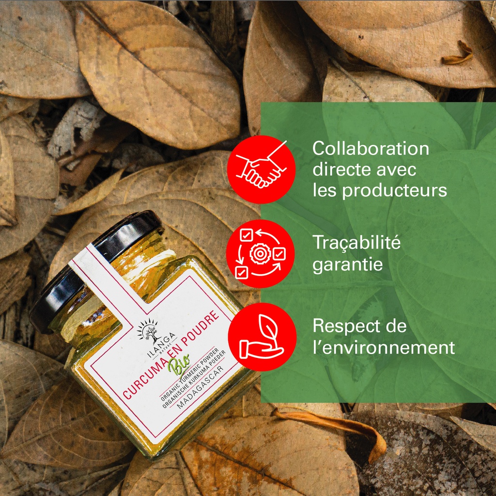 les valeurs du curcuma en poudre 60g BIO