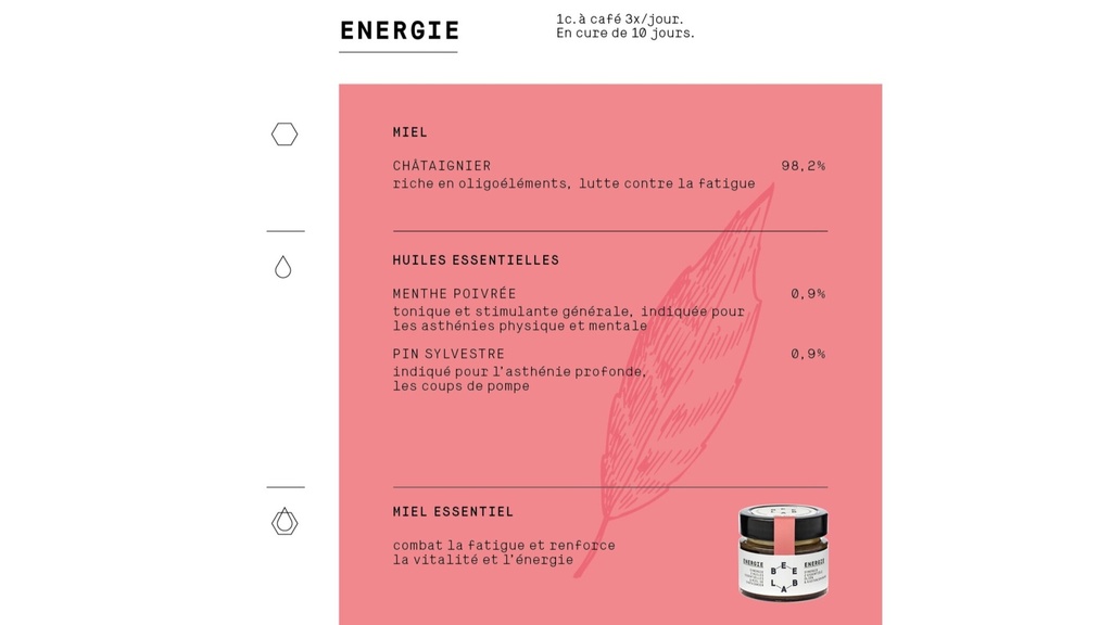 BEELAB - Energie