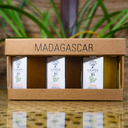 le miel de forêts sèche dans le Trio de Miels 250g  BIO - en situation