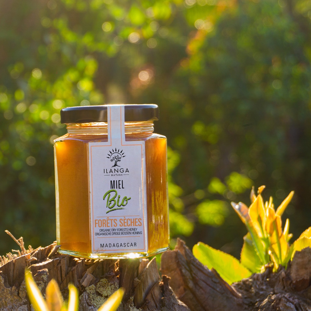 Quintet de Miels 250g - BIO - miel de forêts sèches