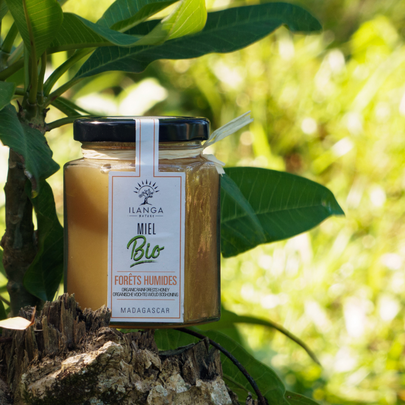 Quintet de Miels 250g - BIO - miel de forêt humides