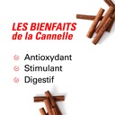 les bienfaits de la cannelle en bâtons 50g