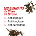 les bienfaits du clous de girofle 150g