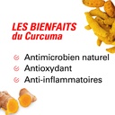 les bienfaits du curcuma en poudre 500g