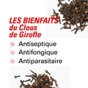 les bienfaits du clous de girofle 500g