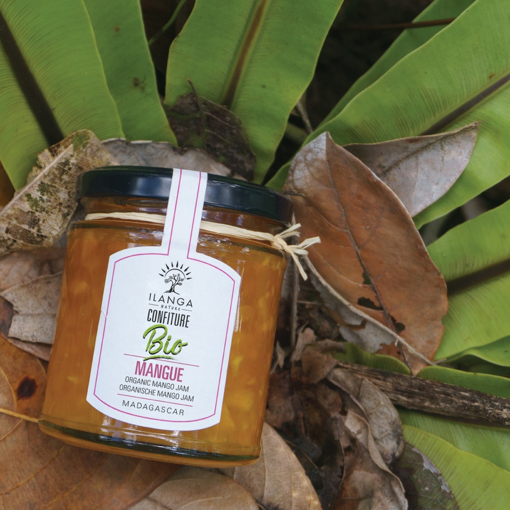 Confiture Mangue au Sucre de Canne 200g - BIO