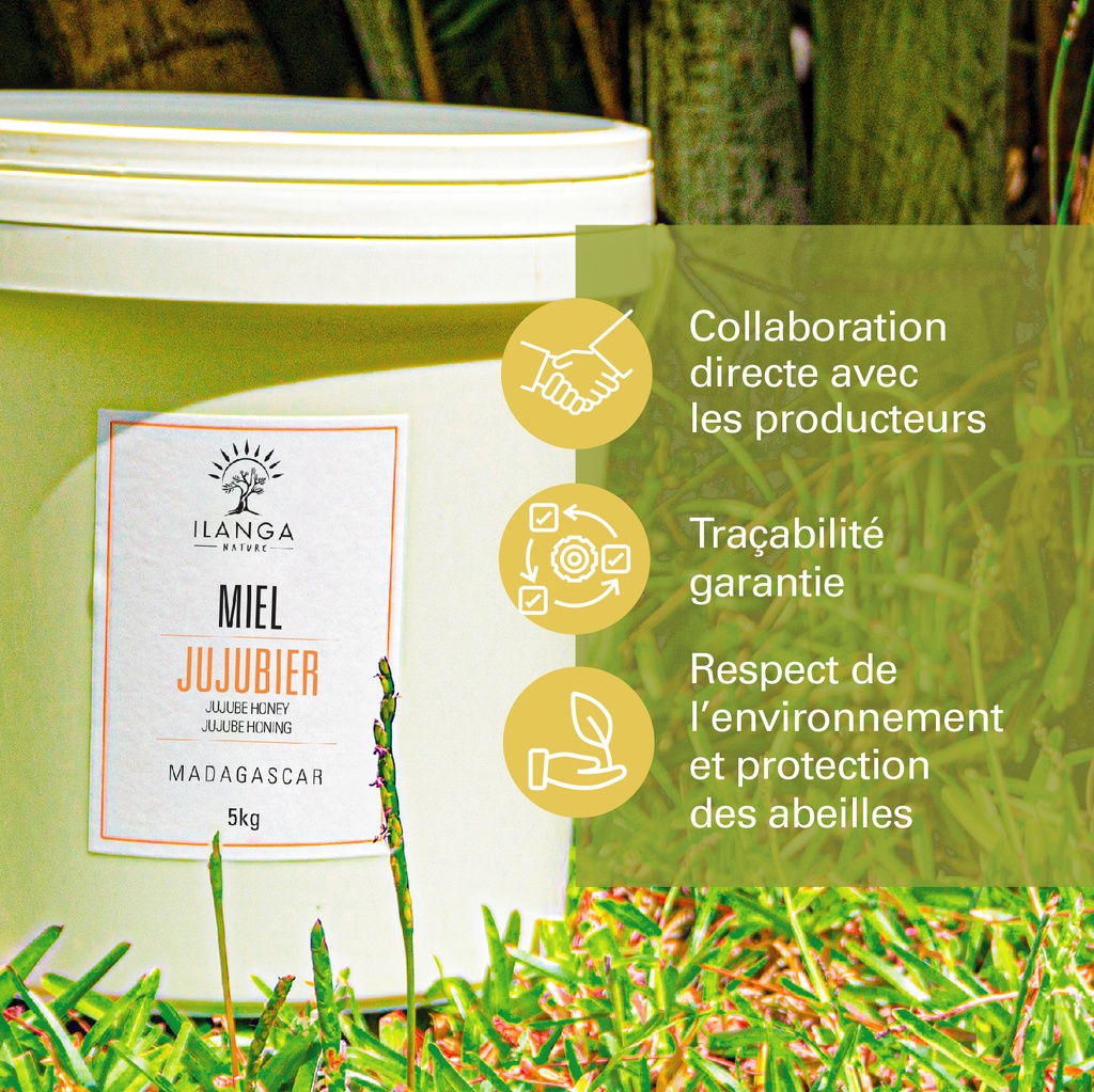 les valeurs du miel de jujubier 5kg