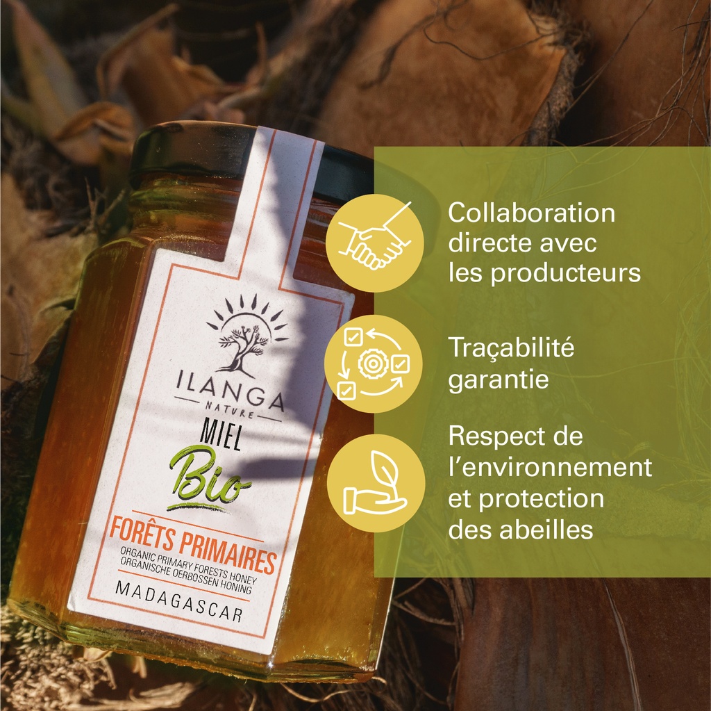 les valeurs du miel de forêts primaires 140g BIO