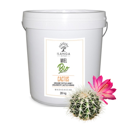 Cactus Honey 28kg - ORGANIC