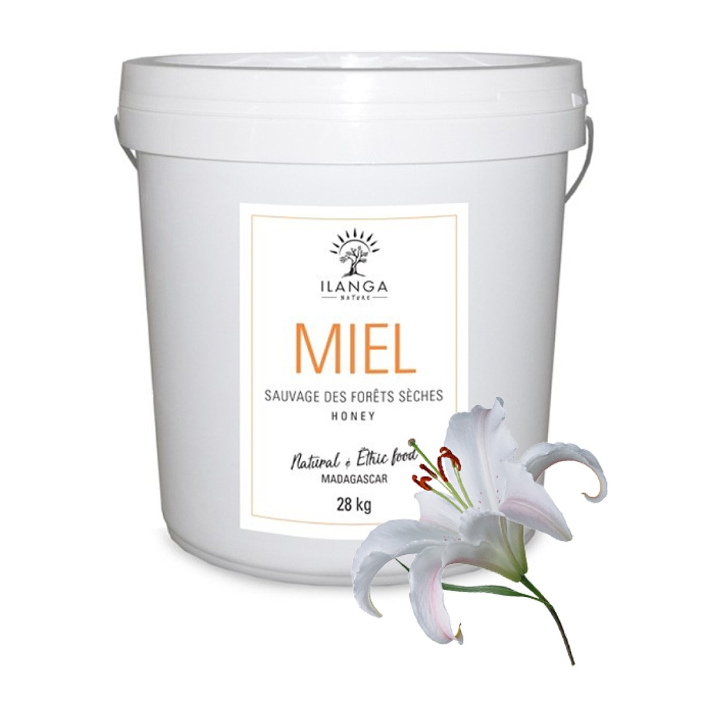 Miel de Forêts Sèches 28kg