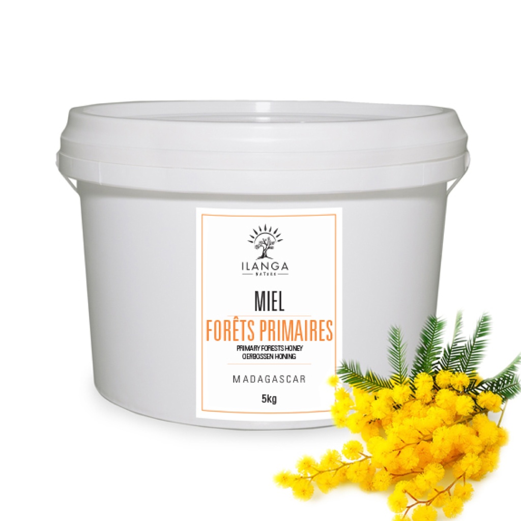 Miel de Forêts Primaires 5kg