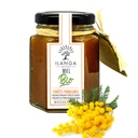Miel de Forêts Primaires 140g - BIO